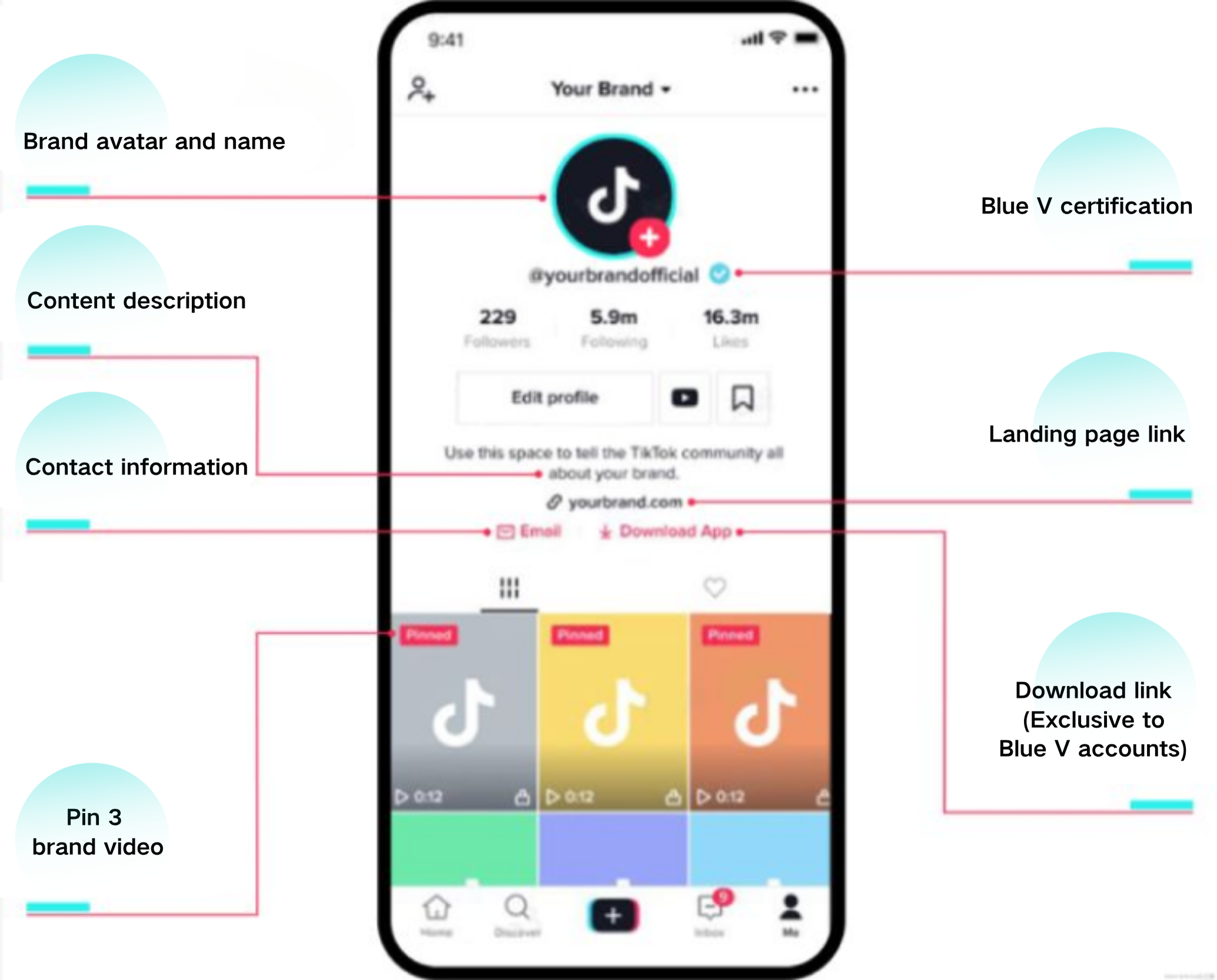Ưu và Nhược điểm của Tài khoản Doanh nghiệp TikTok